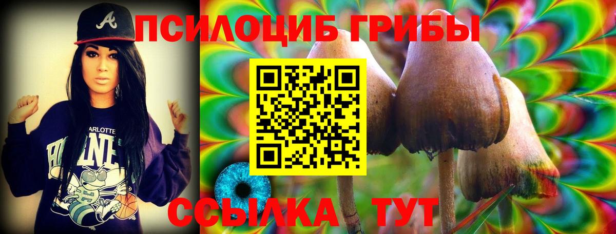 Псилоцибиновые грибы Psilocybe Магнитогорск